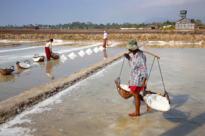 Gioi-thieu-ve-canh-dong-muoi-Kampot-Du-lich-Kampot-Hatienvegasanh-suu-tam.jpg