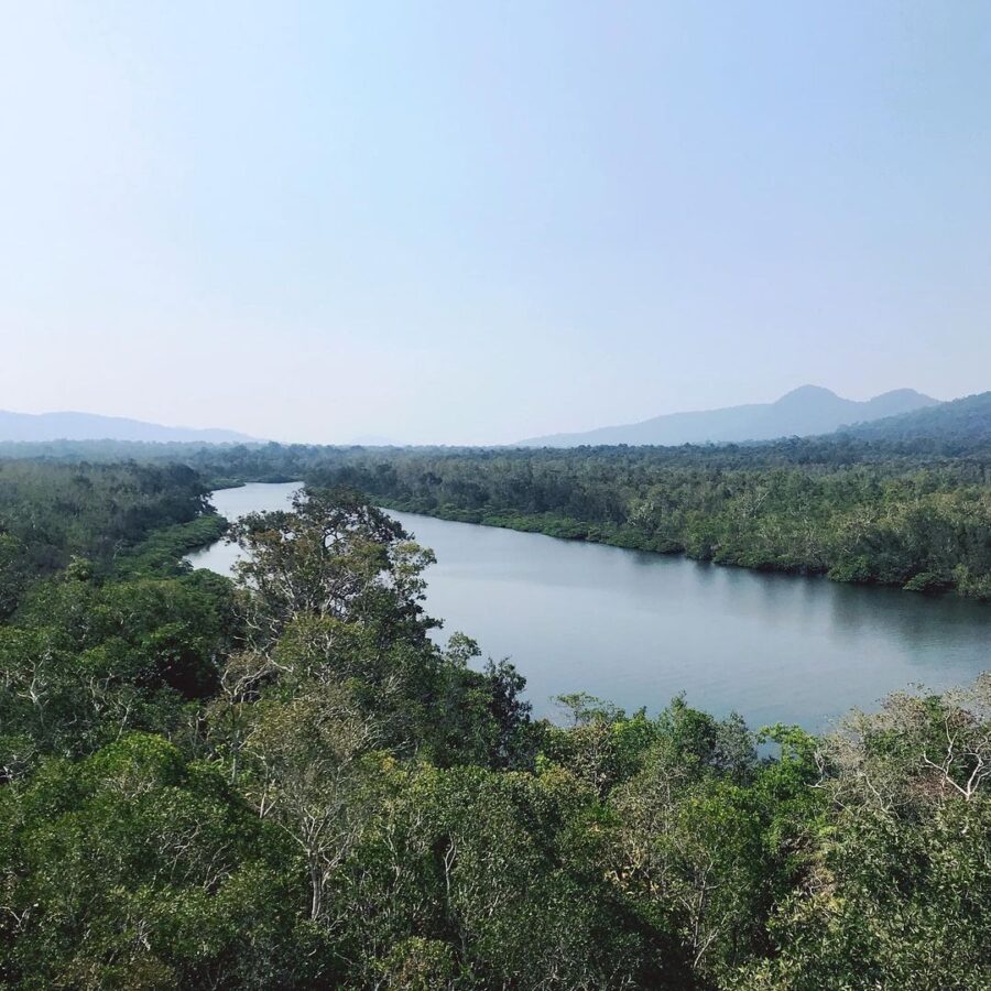 Gioi-thieu-ve-vuon-quoc-gia-Phu-Quoc-Du-lich-Phu-Quoc-Hatienvegasanh-suu-tam.jpg