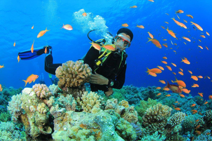 Trai-nghiem-lan-bien-ngam-san-ho-Du-lich-Phu-Quoc-Hatienvegasanh-suu-tam.jpg