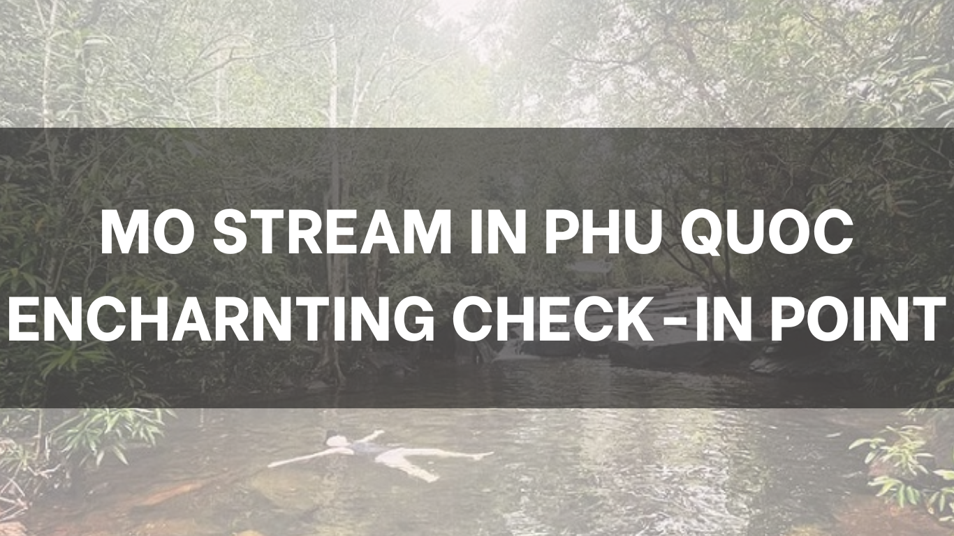 Suoi Mo Phu Quoc - An enchanting check-in point in 2025, Kien Giang ...