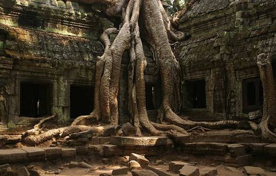 Den-Ta-Prohm-Du-lich-Campuchia-Hatienvegasanh-suu-tam.jpg
